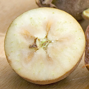 Reife Mispel