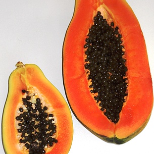 Frische Papaya aus dem Garten